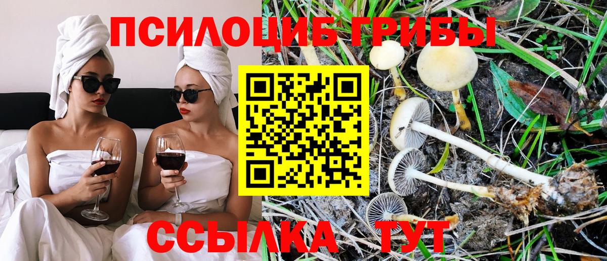 Галлюциногенные грибы Magic Shrooms Чернушка